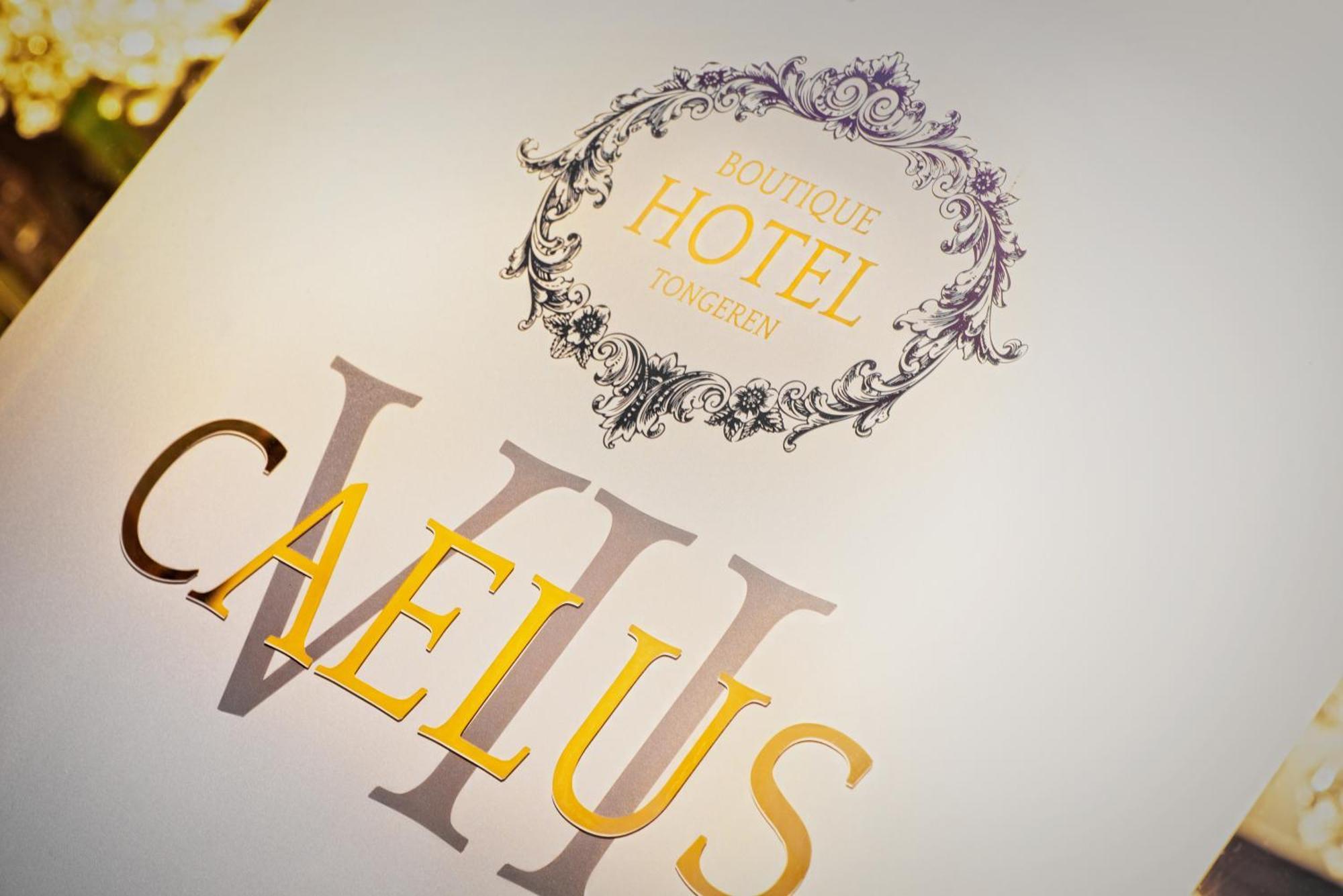 Boutique Hotel Caelus VII Tongeren Exterior foto